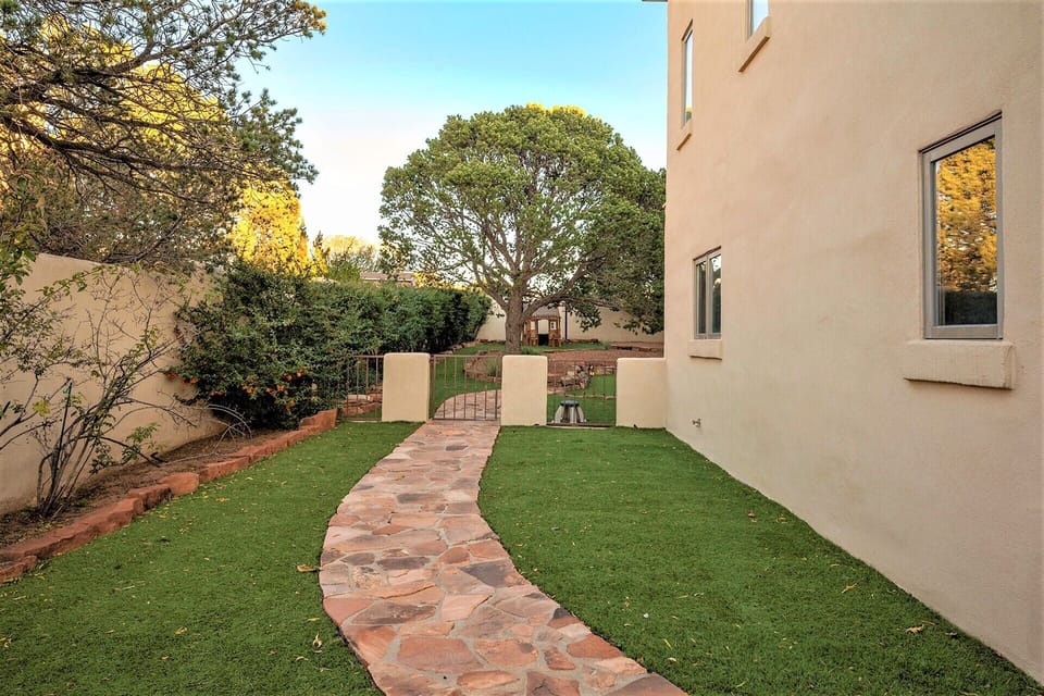 Back yard 