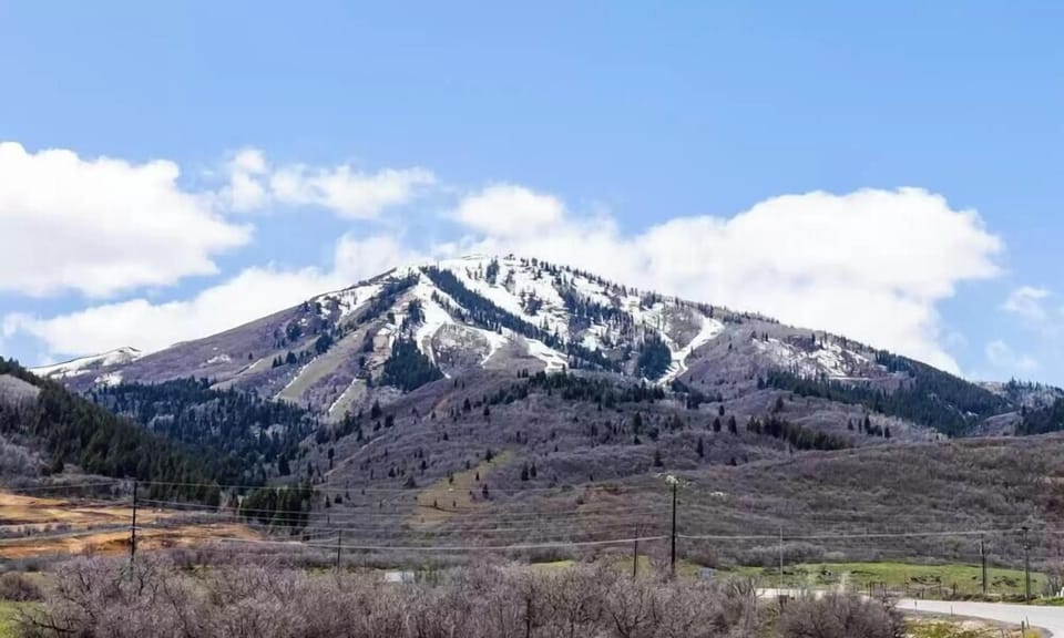 View from deck
