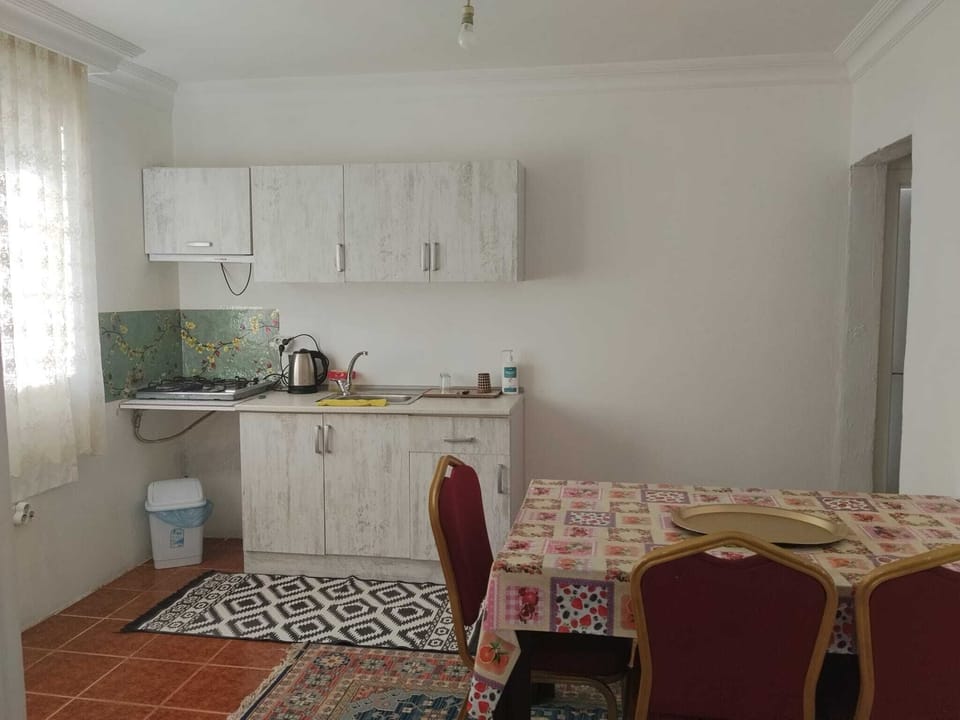 Family Apartment | Private kitchen | Mini-fridge, electric kettle