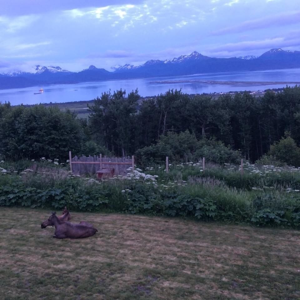 View from property