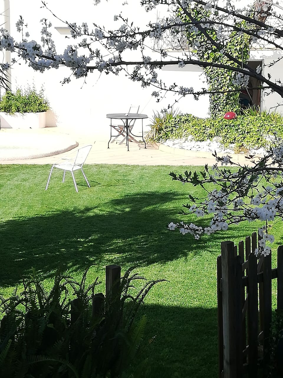 Garden and pool