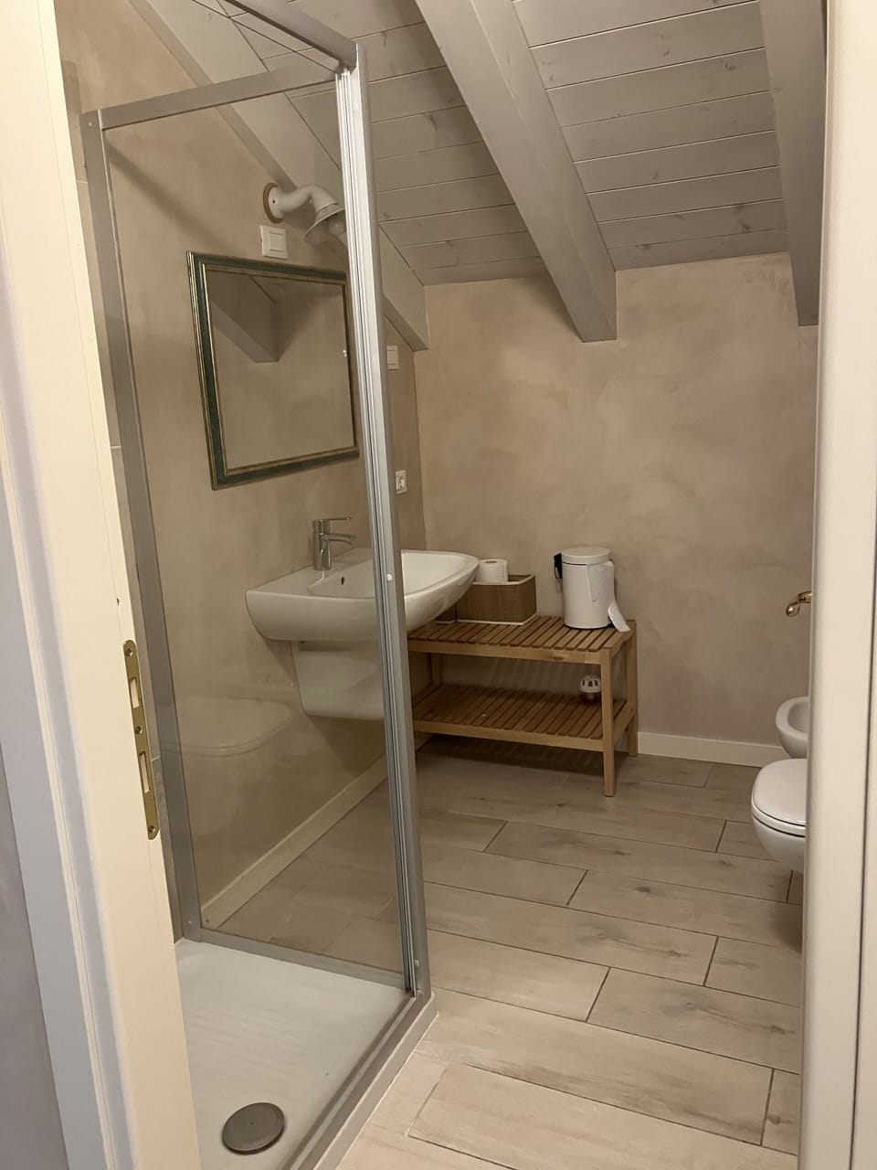 Shower, hair dryer, bidet, soap