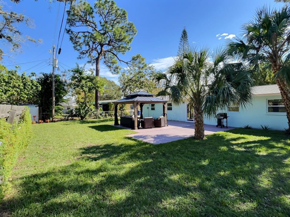 Back yard