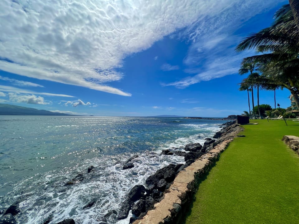 Shoreline