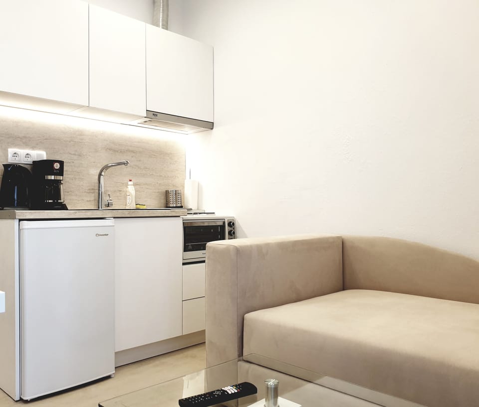 Deluxe Apartment | Private kitchen | Fridge, oven, toaster oven, cookware/dishes/utensils