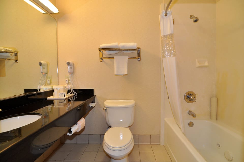 Shower, hydromassage showerhead, free toiletries, hair dryer