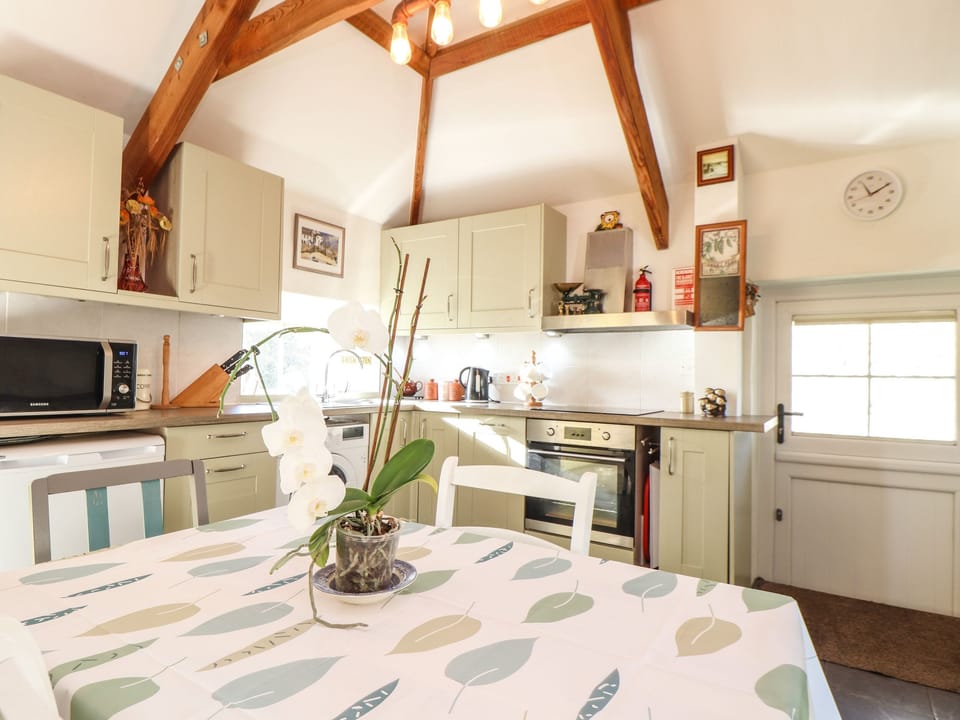 Fridge, dishwasher, electric kettle, toaster