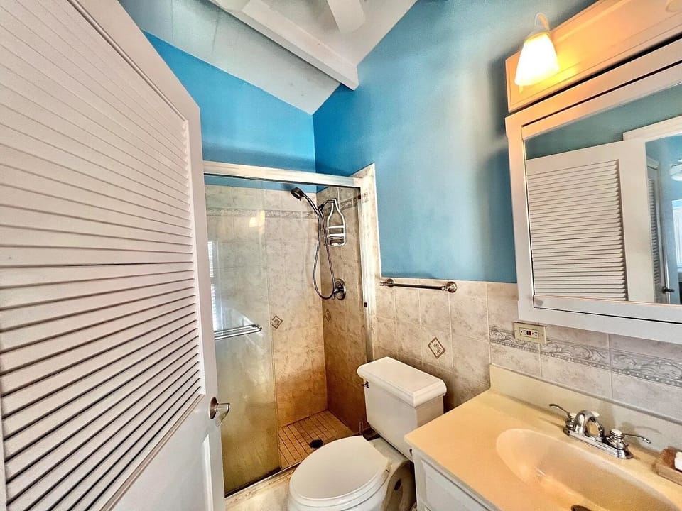 Primary Bathroom shower