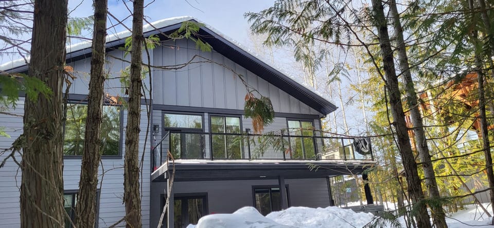 Backyard in winter