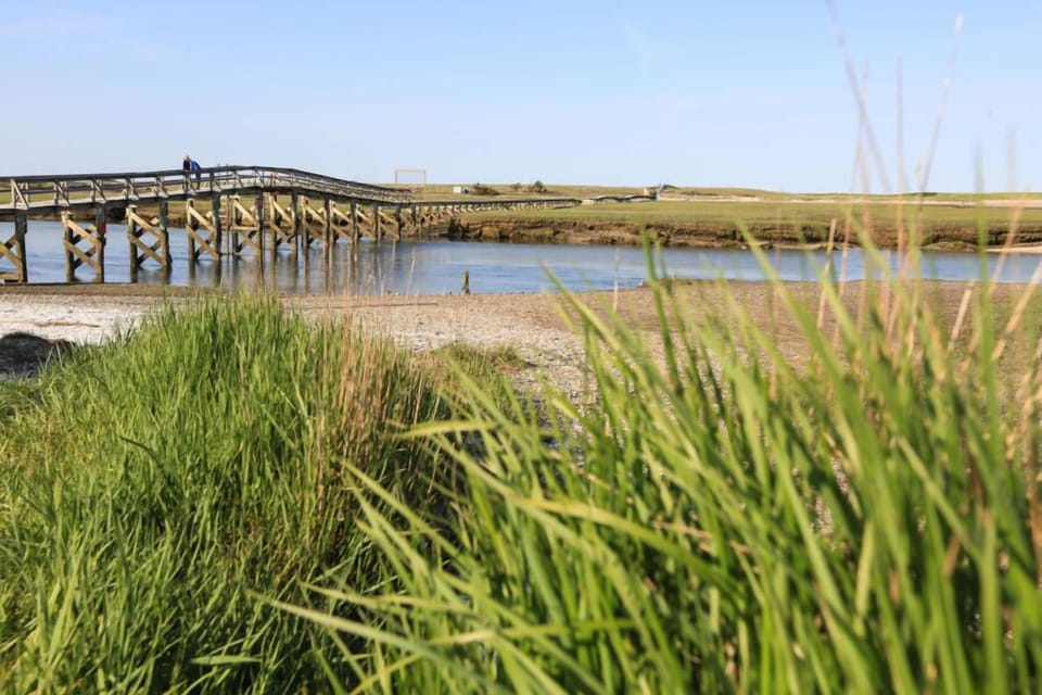 Close to the Sandwich Boardwalk