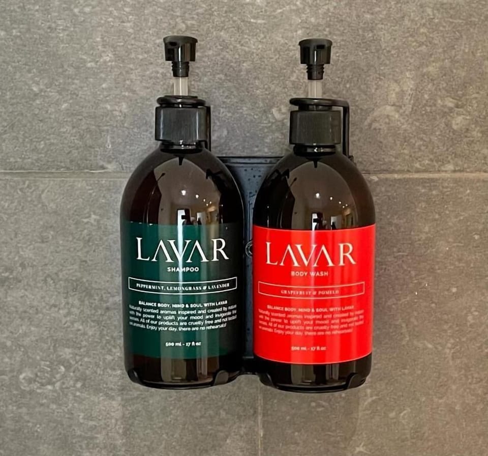Hair dryer, towels, soap, shampoo