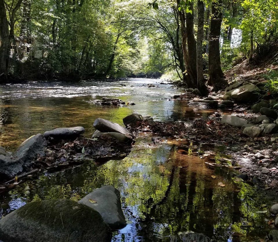 Just steps away from the creek and steps to enter the creek.