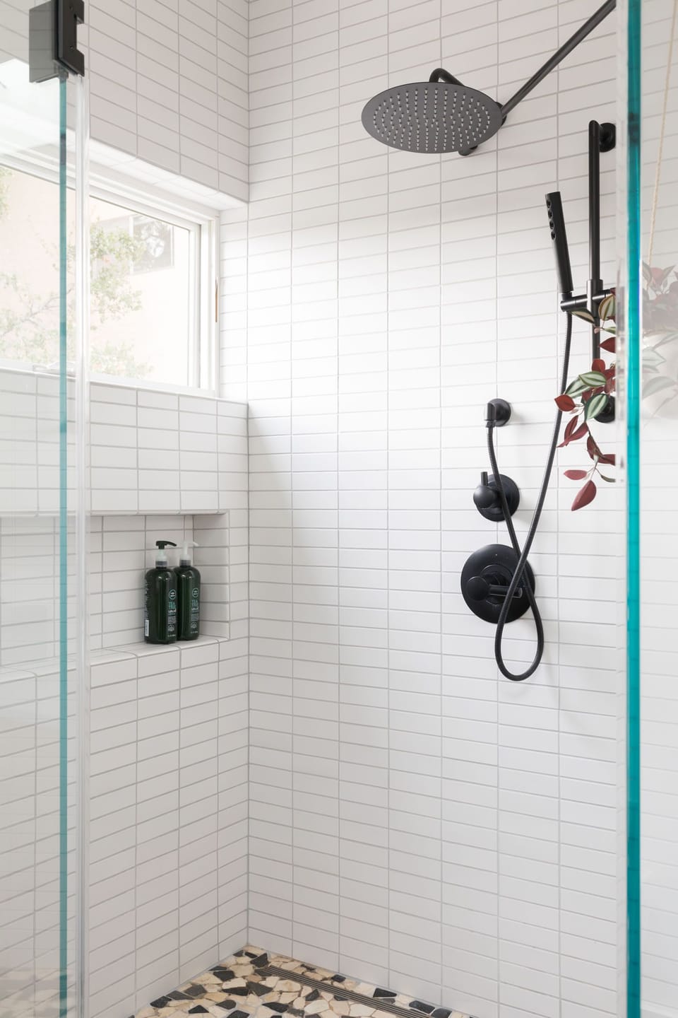 Shower bathroom 