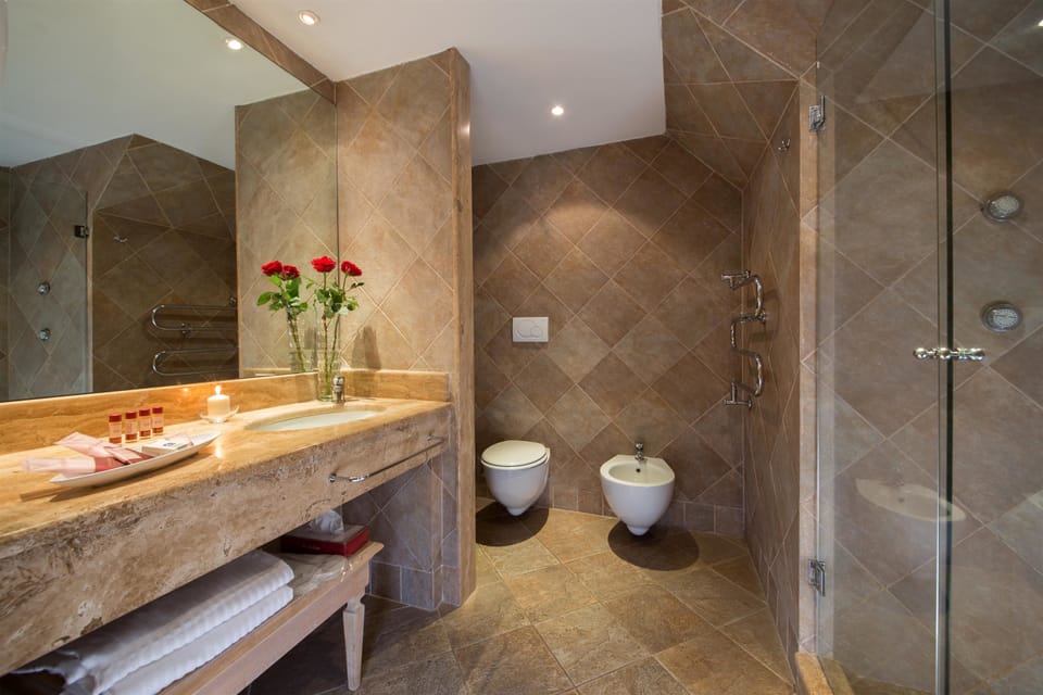Suite, 1 King Bed, Smoking (Living Room;Larger Room;with Sofabed) | Bathroom | Hydromassage showerhead, free toiletries, hair dryer, bidet