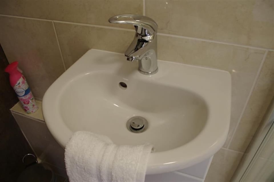 Ensuite shower room at Badger's Holt, Masham