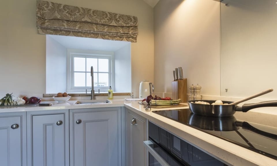 Fridge, dishwasher, cookware/dishes/utensils