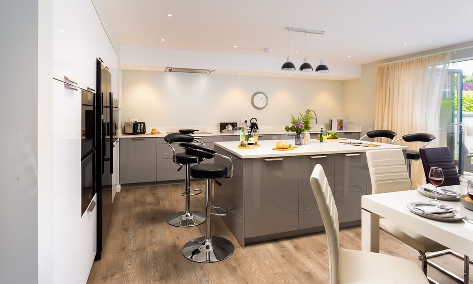 Fridge, dishwasher, cookware/dishes/utensils