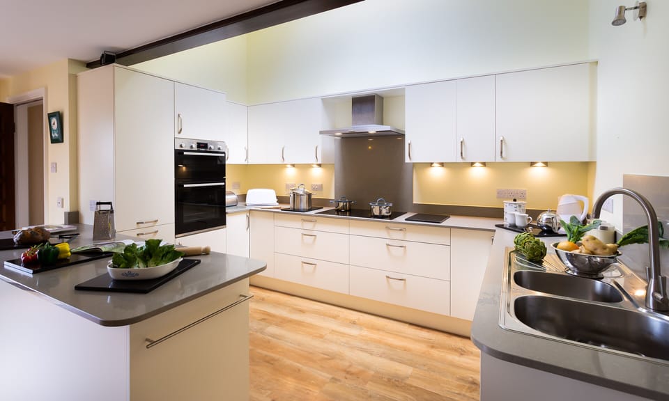 Fridge, dishwasher, cookware/dishes/utensils