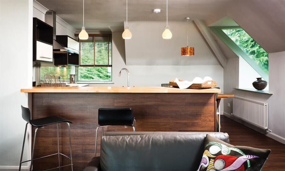 Fridge, dishwasher, cookware/dishes/utensils