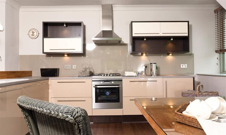 Fridge, dishwasher, cookware/dishes/utensils