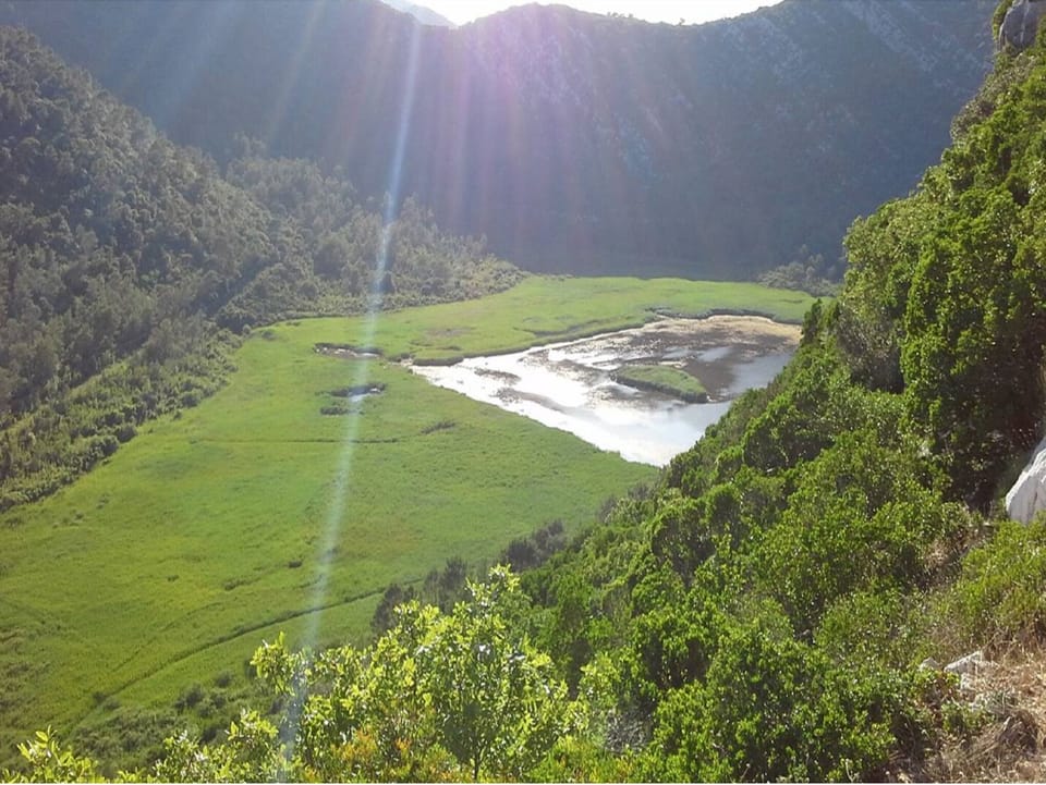 Apartment (One Bedroom Apartment with Balcony an) | Aerial view