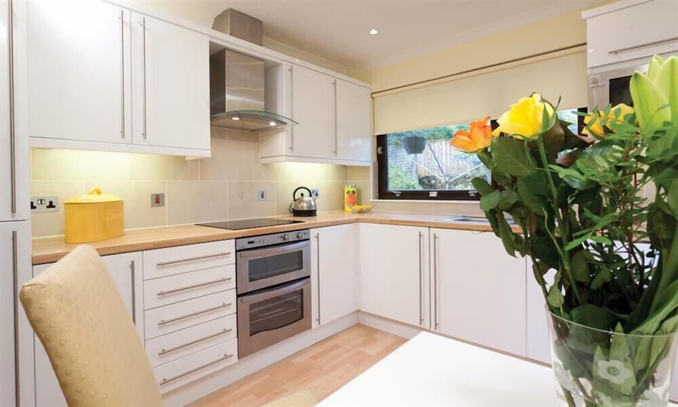 Fridge, dishwasher, cookware/dishes/utensils
