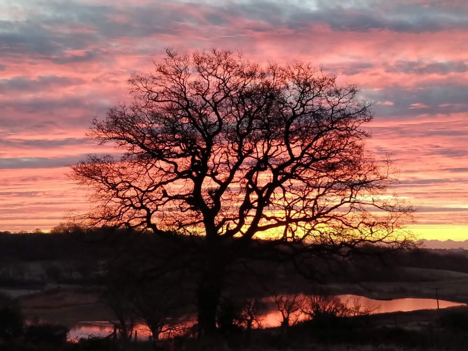 Surrounding area | Lakeview Lodge, Hayfield Haven - Hillcroft Farm Pods, Crowhurst