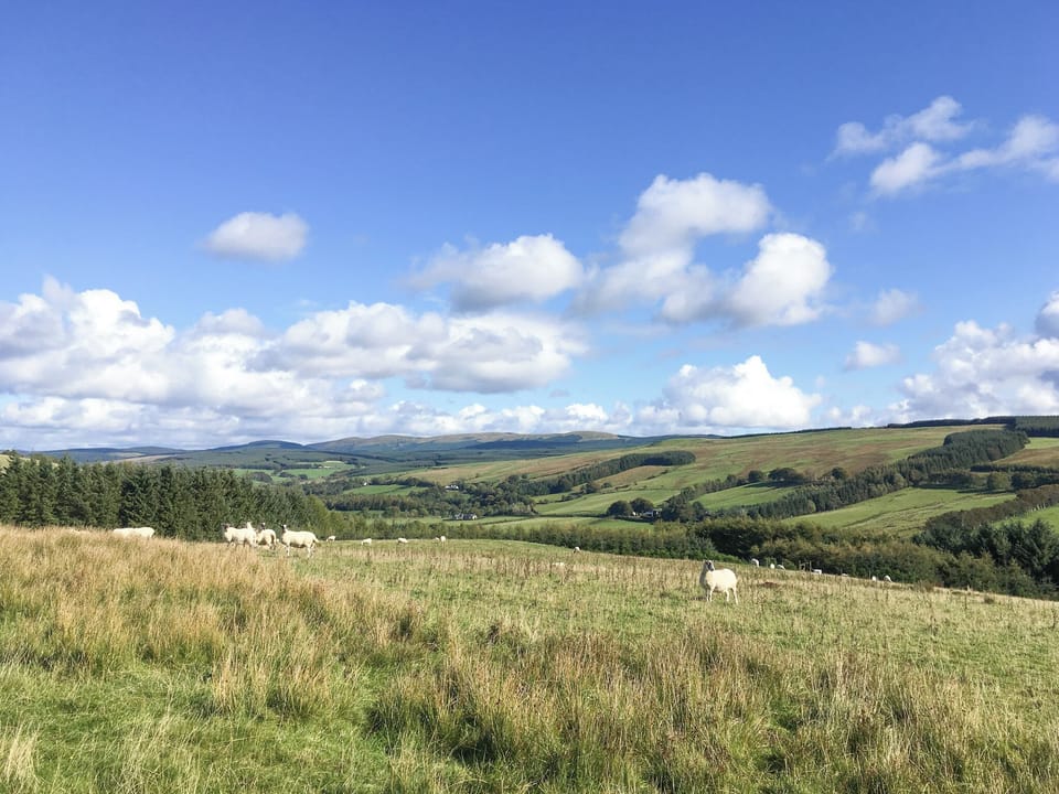Surrounding area | Pinclanty Cottage, Girvan
