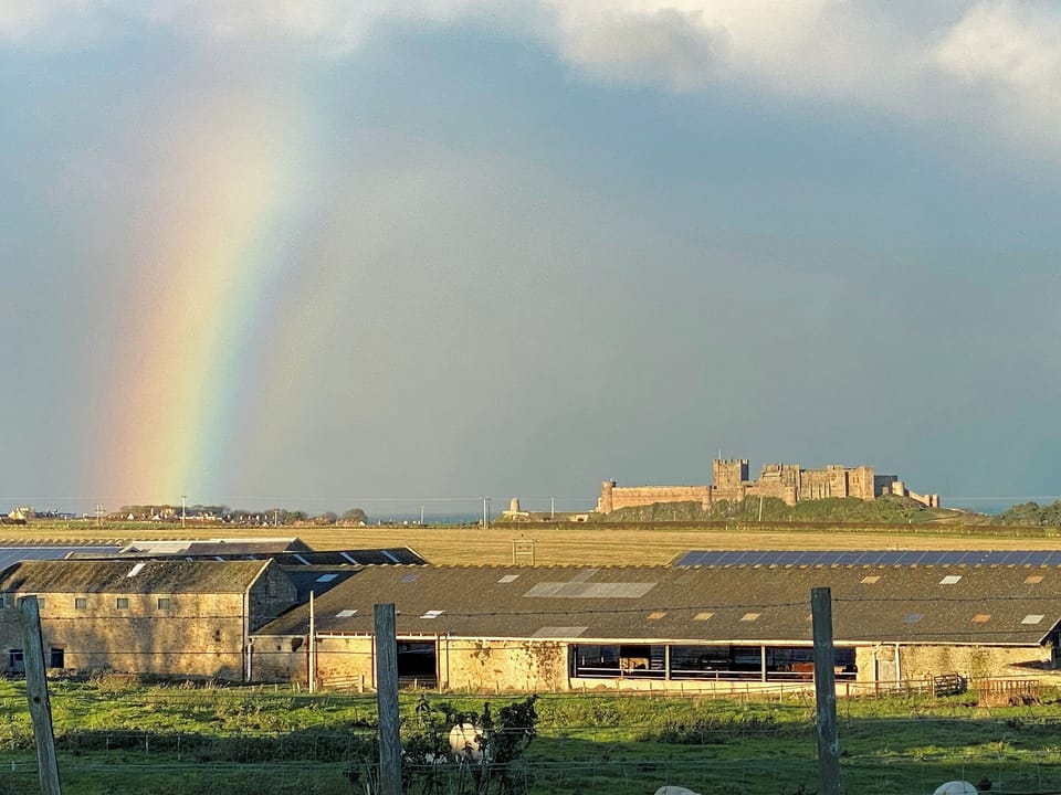 View | Darling Cottage, East Burton, near Bamburgh