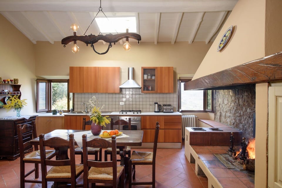Table, Furniture, Property, Countertop, Cabinetry, Houseplant, Chair, Plant, Wood, Kitchen