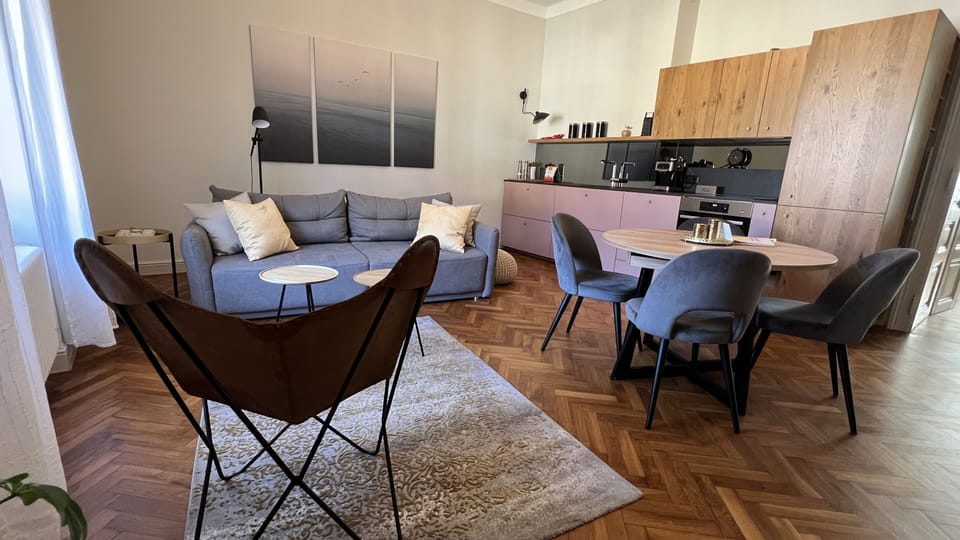 Living room and kitchen