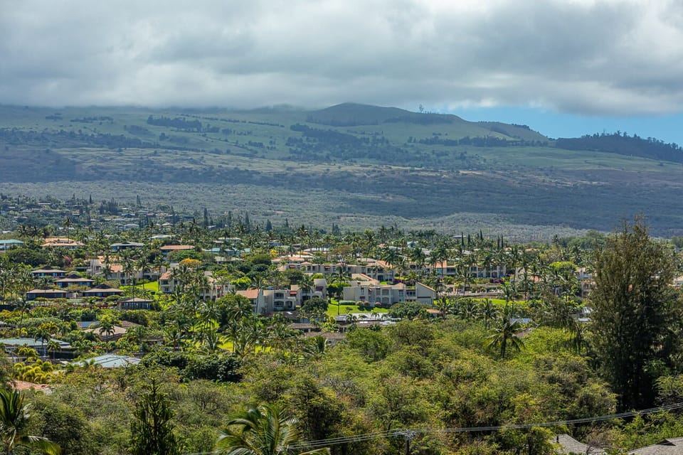 Views of Haleakala to the East