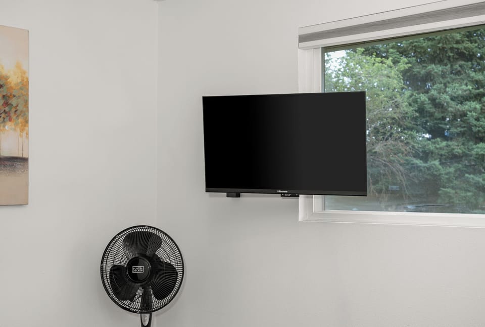 Bright room with wall-mounted TV and peaceful tree-view window