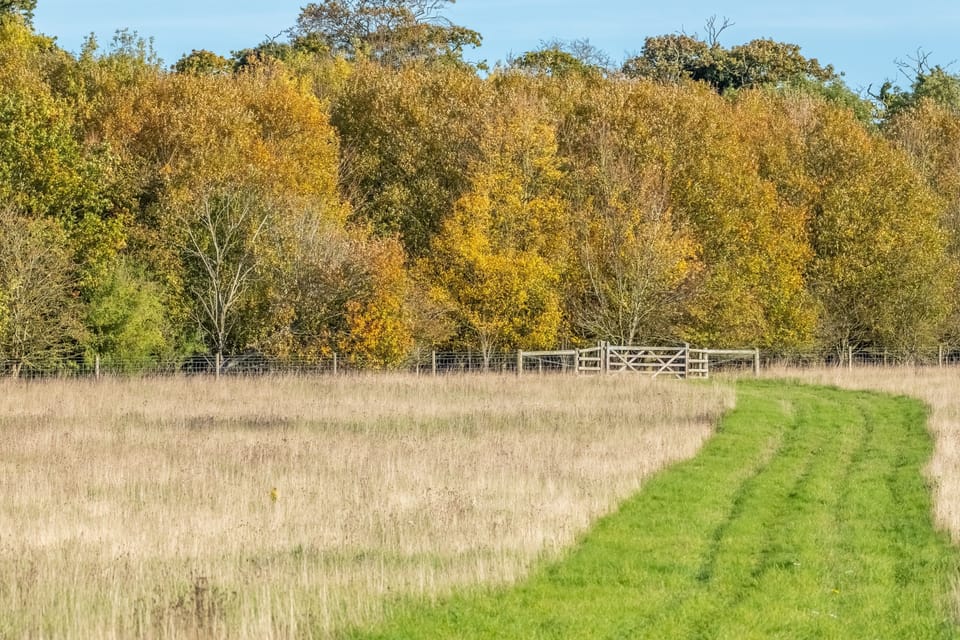Courtyard Farm welcomes walkers around the surrounding countryside