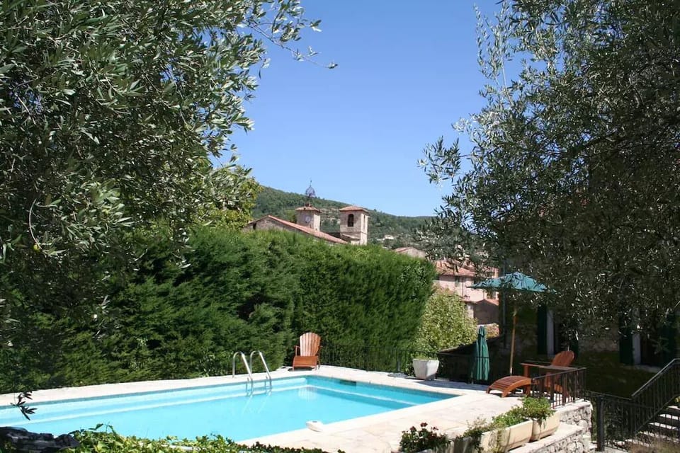 Secluded pool and terrace, looking toward house