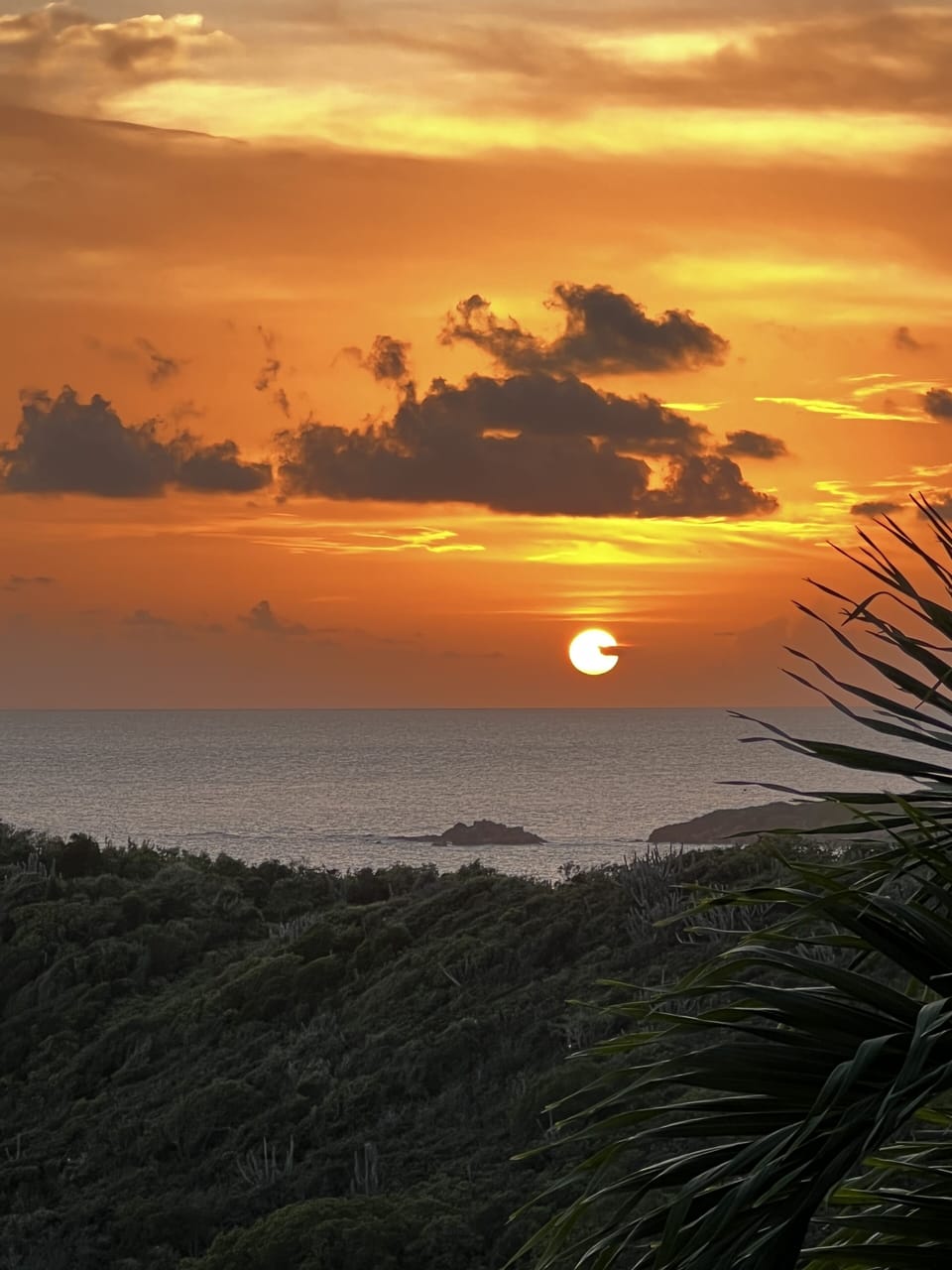 View from Coral Cove 