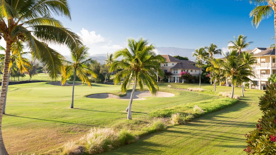 Serene golf course views. It is fun to watch the golfers go by or take a shot 