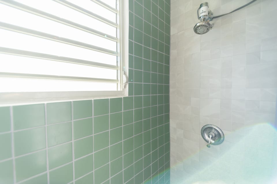 Master Bathroom Shower