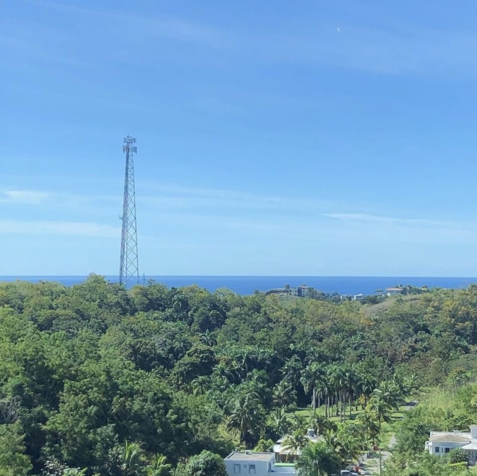 View from home
