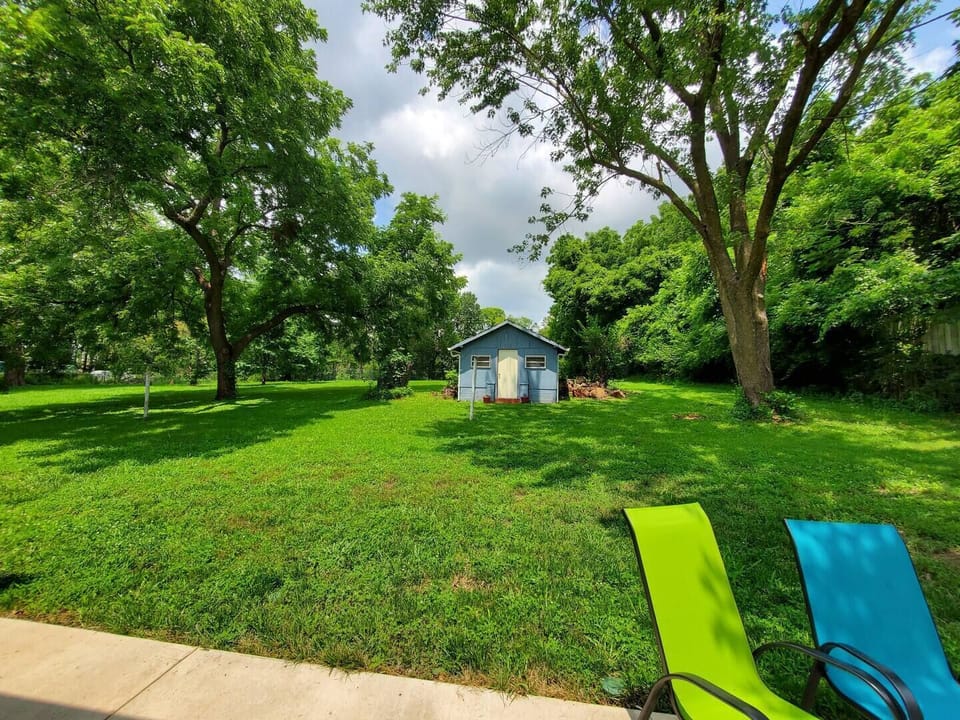 Backyard