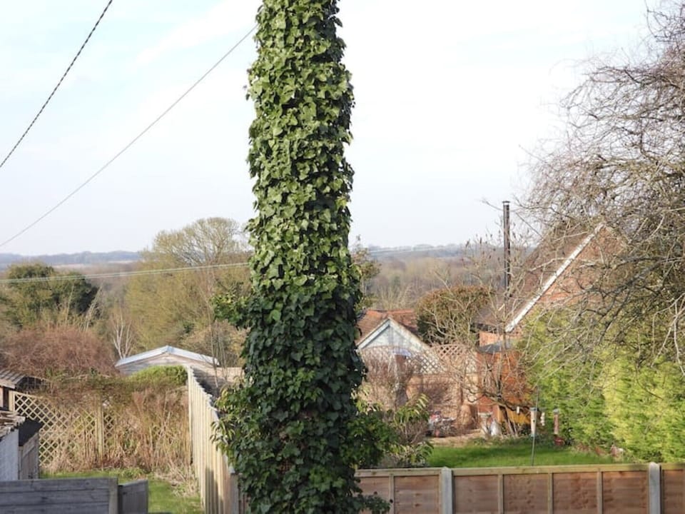 View from the window of the office