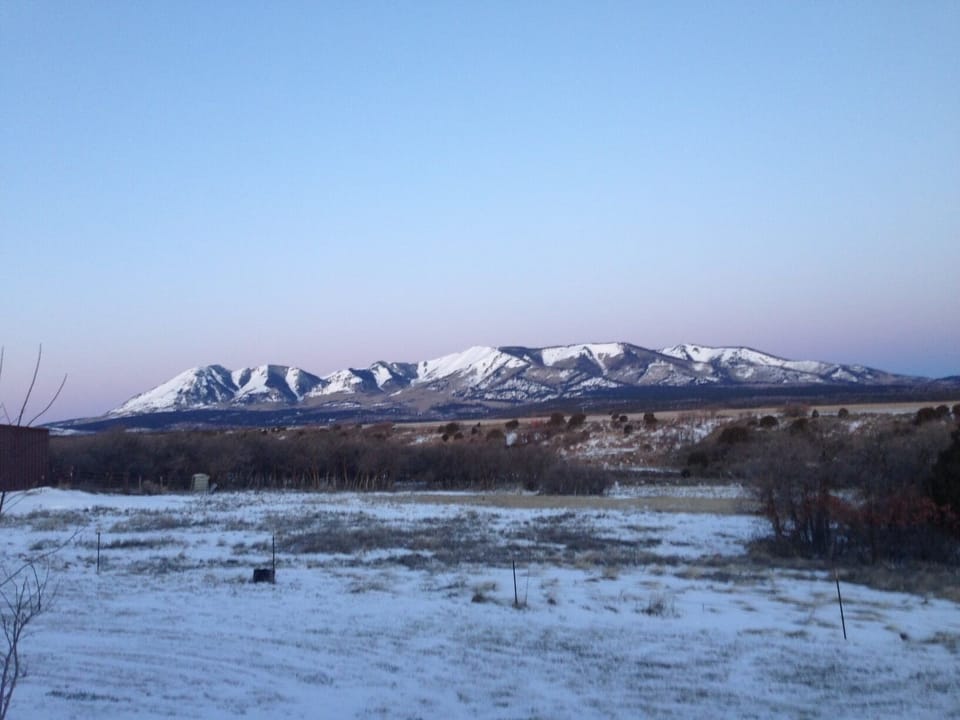 Westerly view in backyard