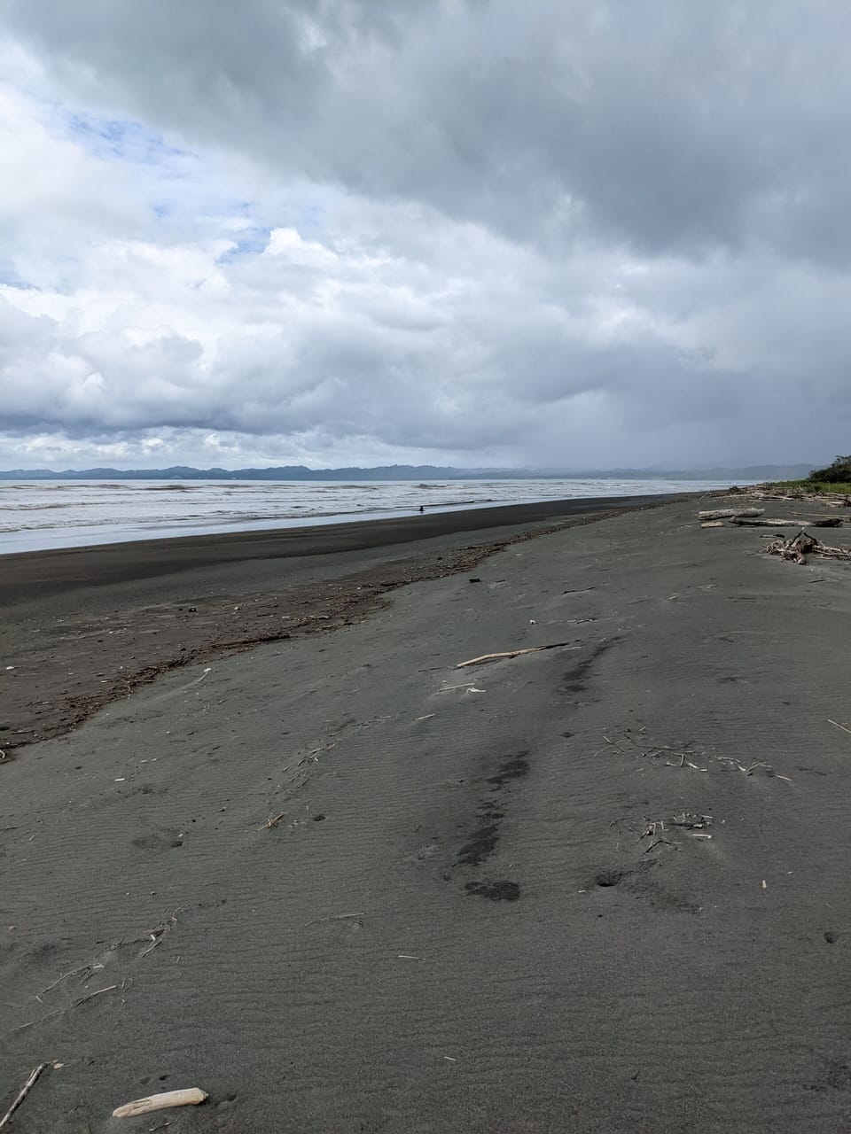 Our secluded beach with miles of pristine beach to walk or enjoy!