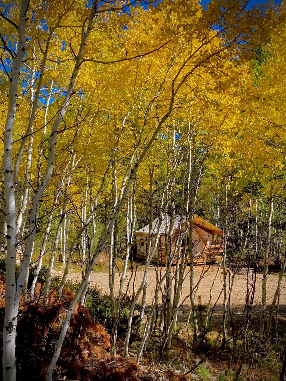 View from property