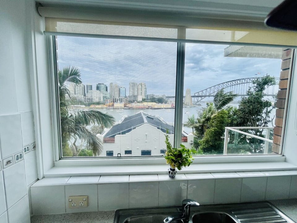 Views from kitchen window.