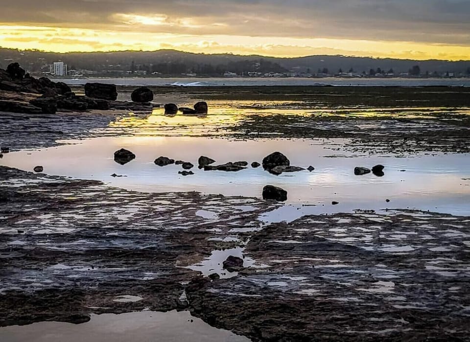 Long Reef Aquatic Reserve at low tide