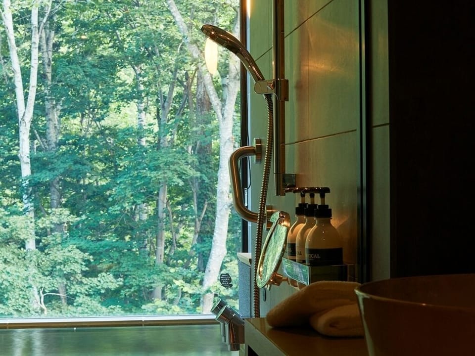 Separate tub and shower, spring water tub, free toiletries, hair dryer