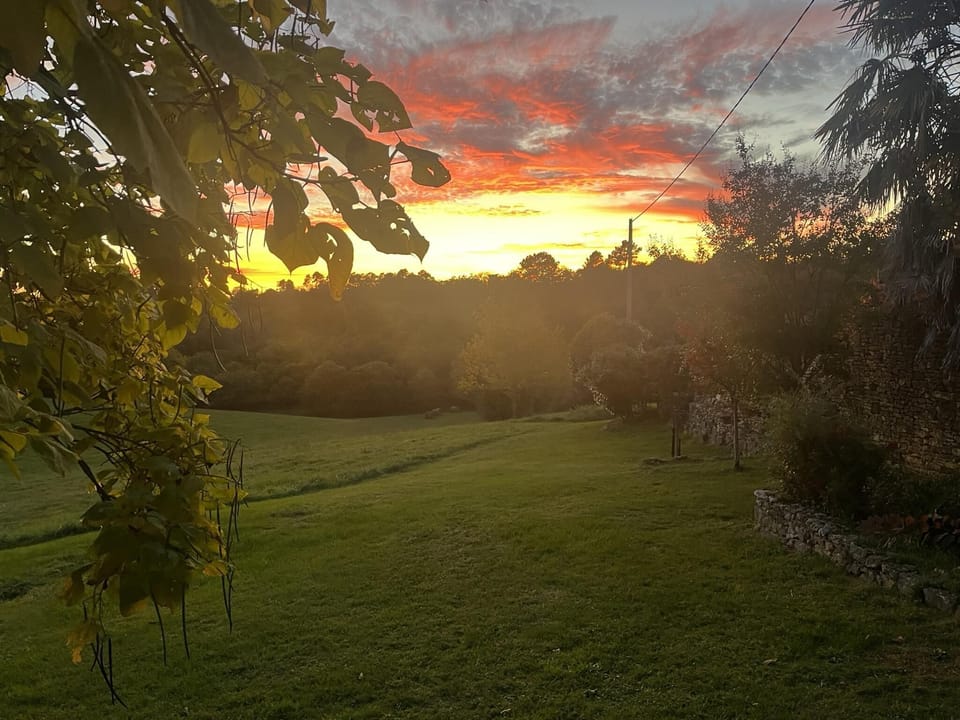 View from Holiday Home [summer]