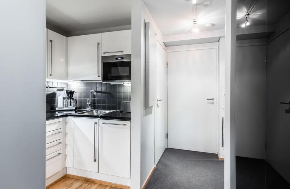 Deluxe Studio | Private kitchen | Fridge, microwave, oven, stovetop