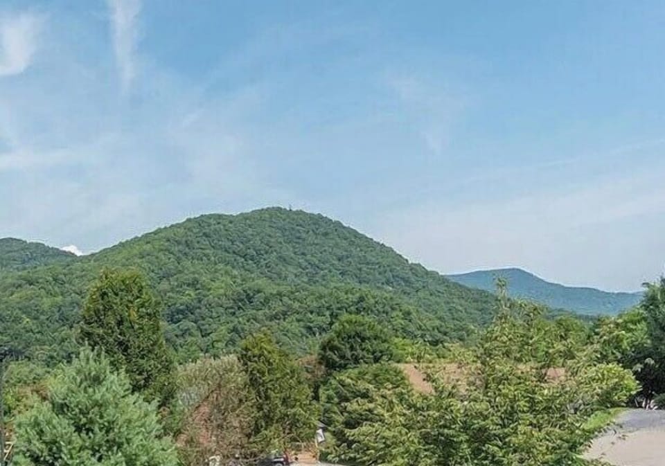 Relax and Enjoy the View